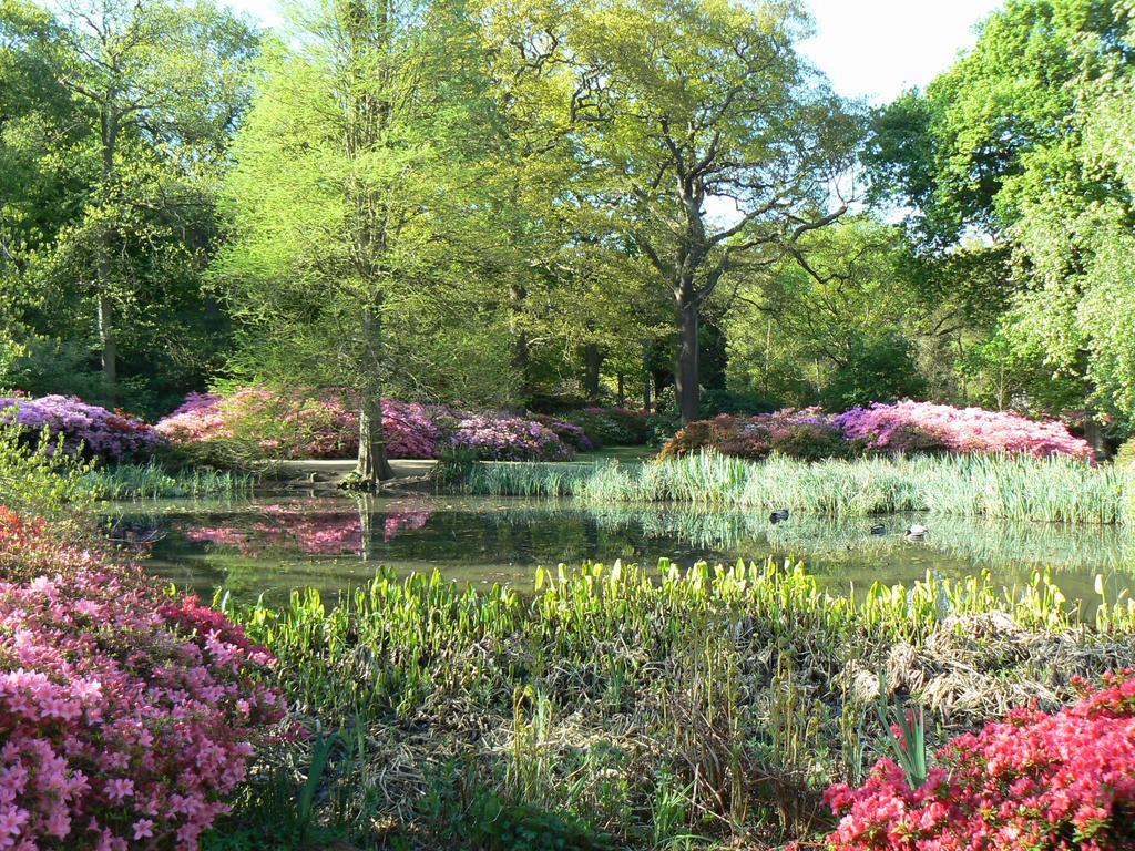 Londonhomegardens Экстерьер фото